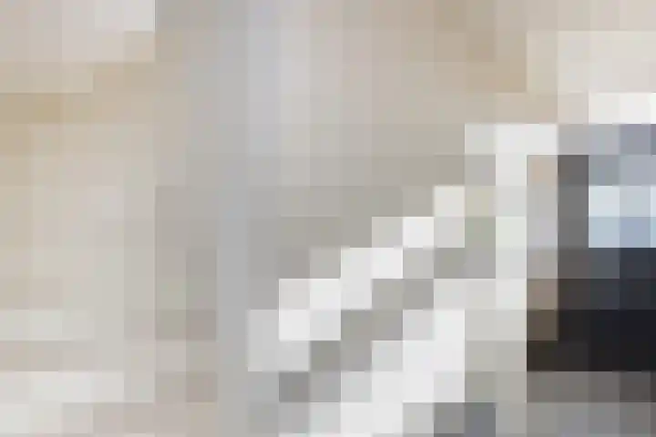 van Ouwenallerlaan 13 Rekken thumbnail 19