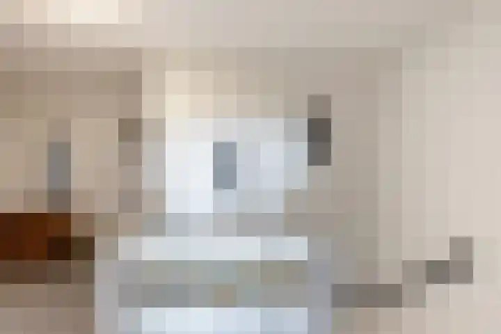 van Ouwenallerlaan 13 Rekken thumbnail 21