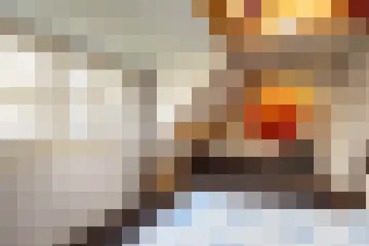 van Ouwenallerlaan 13 Rekken thumbnail 24