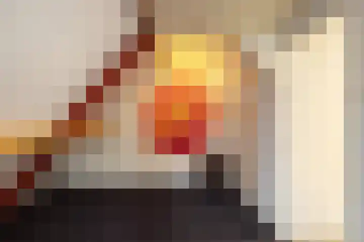 van Ouwenallerlaan 13 Rekken thumbnail 29