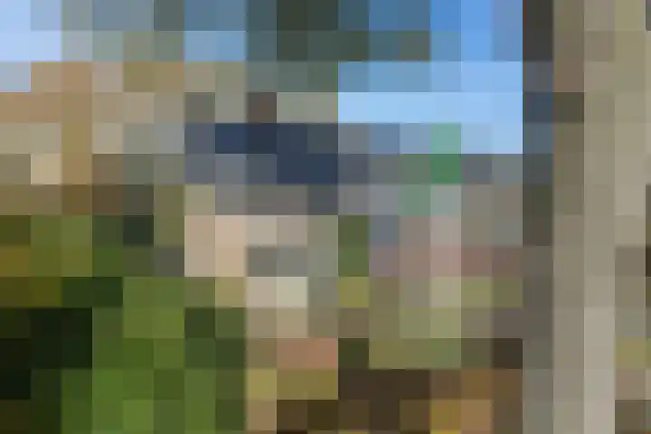 van Ouwenallerlaan 13 Rekken foto 3