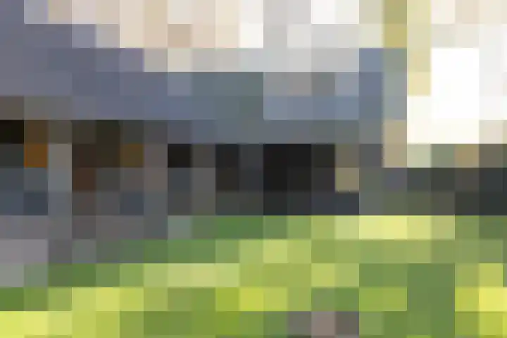van Ouwenallerlaan 13 Rekken thumbnail 32
