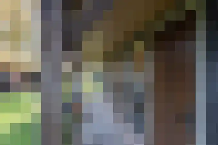 van Ouwenallerlaan 13 Rekken thumbnail 34