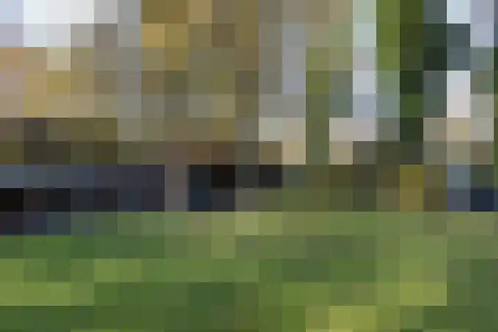 van Ouwenallerlaan 13 Rekken thumbnail 35