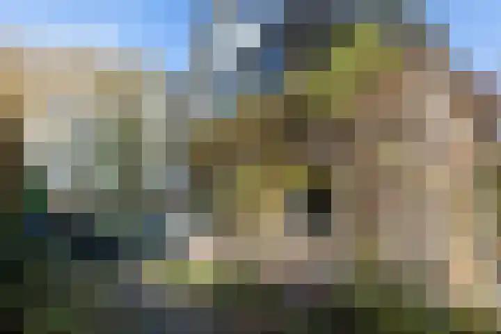 van Ouwenallerlaan 13 Rekken thumbnail 36