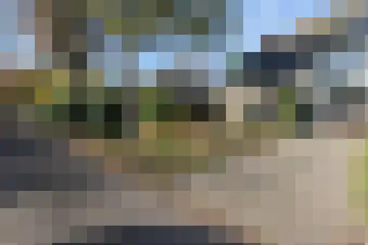 van Ouwenallerlaan 13 Rekken thumbnail 38