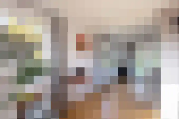 van Ouwenallerlaan 13 Rekken thumbnail 6