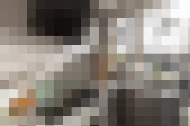 van Ouwenallerlaan 13 Rekken thumbnail 8