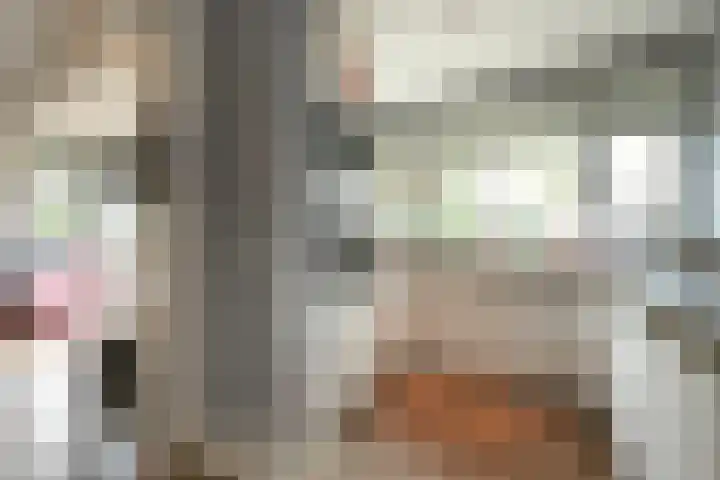 Van Ouwenlaan 18 Den Haag thumbnail 11