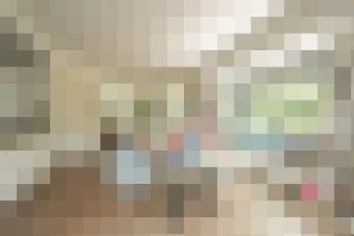 Van Ouwenlaan 18 Den Haag thumbnail 13