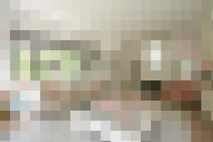 Van Ouwenlaan 18 Den Haag thumbnail 16