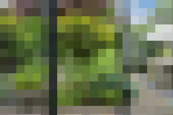 Van Ouwenlaan 18 Den Haag thumbnail 17