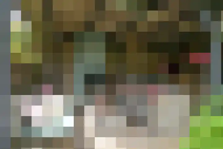 Van Ouwenlaan 18 Den Haag thumbnail 20