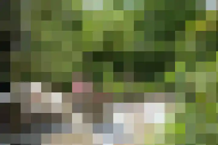 Van Ouwenlaan 18 Den Haag thumbnail 21