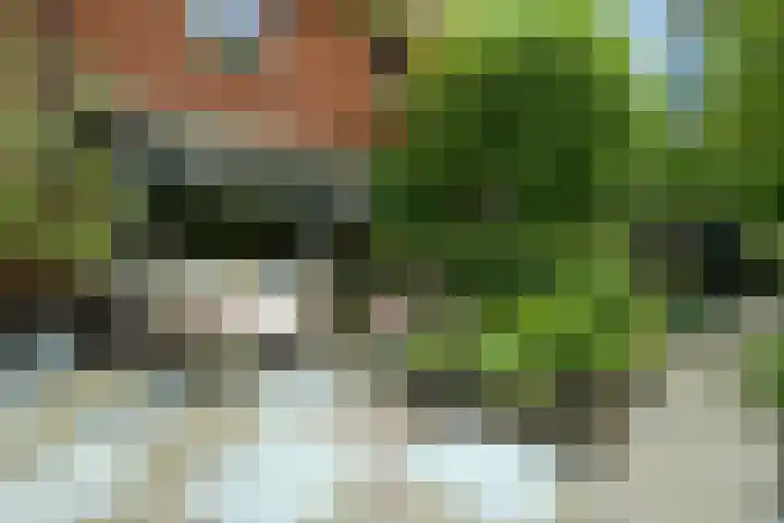 Van Ouwenlaan 18 Den Haag thumbnail 22