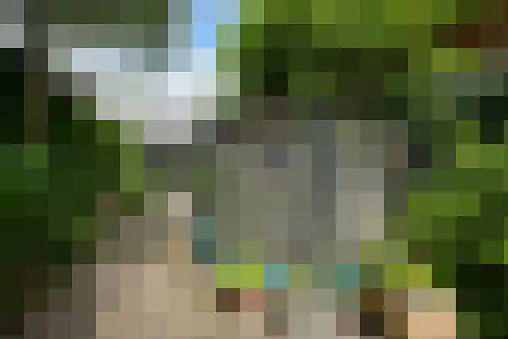 Van Ouwenlaan 18 Den Haag thumbnail 23