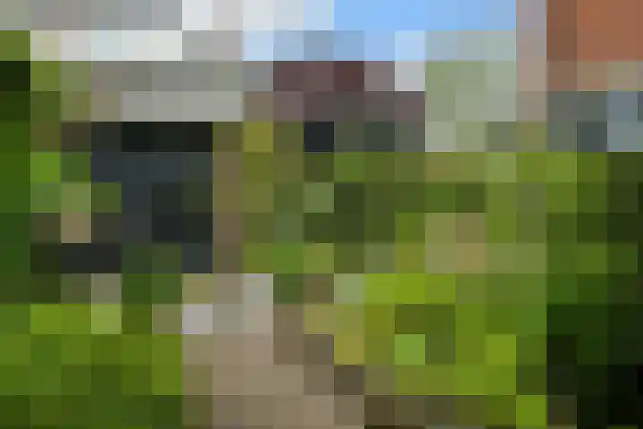 Van Ouwenlaan 18 Den Haag thumbnail 24