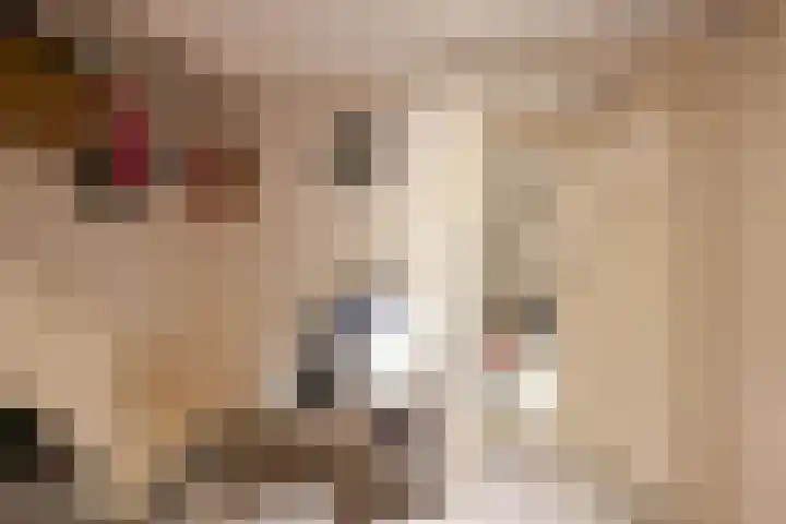 Van Ouwenlaan 18 Den Haag thumbnail 26