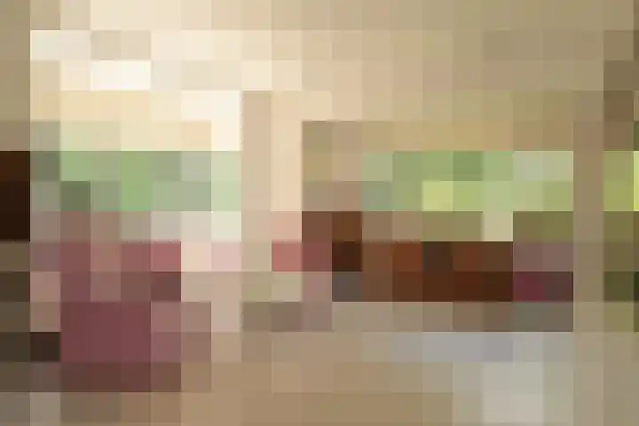 Van Ouwenlaan 18 Den Haag thumbnail 28