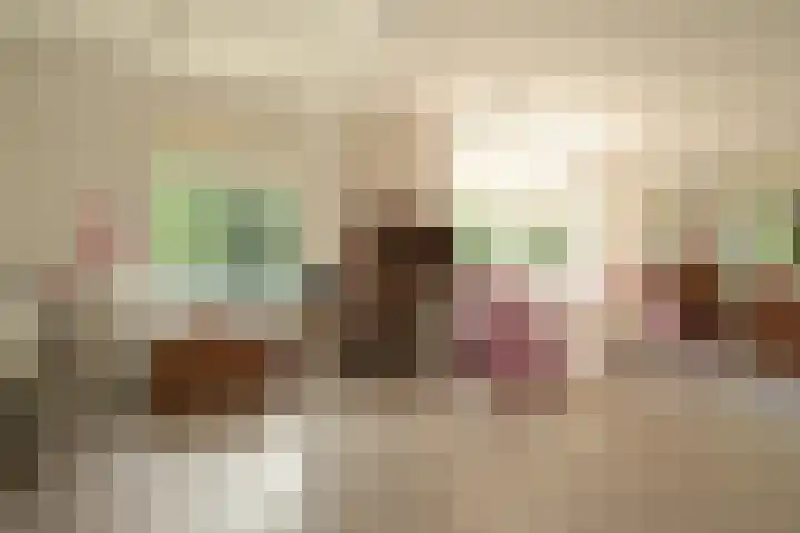 Van Ouwenlaan 18 Den Haag thumbnail 29