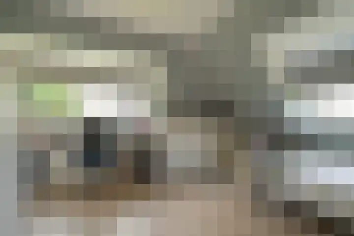 Van Ouwenlaan 18 Den Haag thumbnail 38