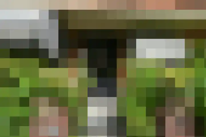 Van Ouwenlaan 18 Den Haag thumbnail 4