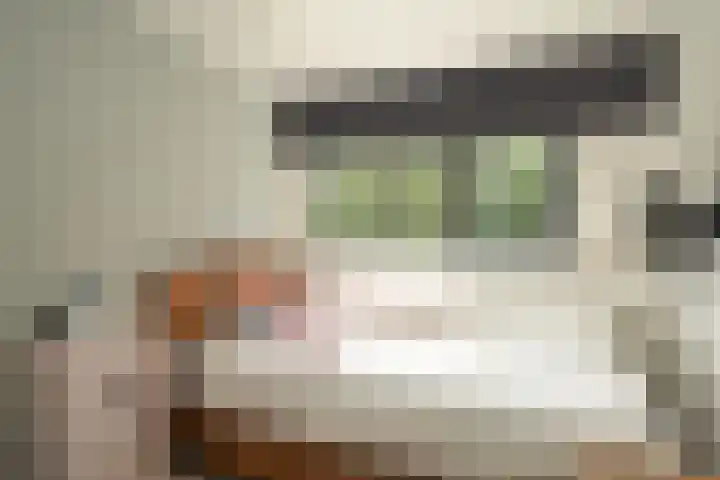Van Ouwenlaan 18 Den Haag thumbnail 40