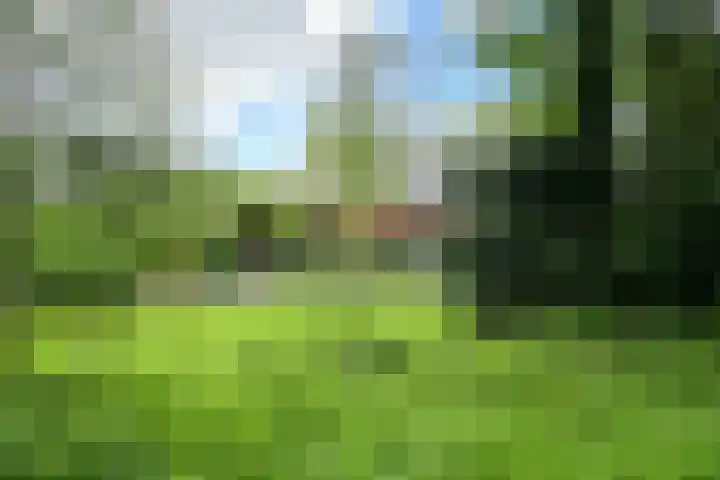 Van Ouwenlaan 18 Den Haag thumbnail 45