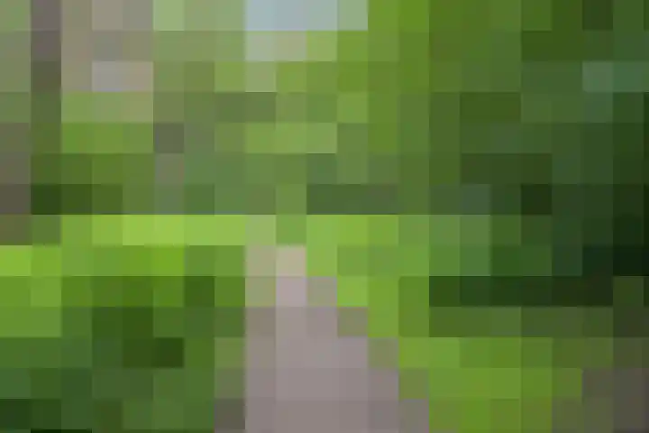 Van Ouwenlaan 18 Den Haag thumbnail 46
