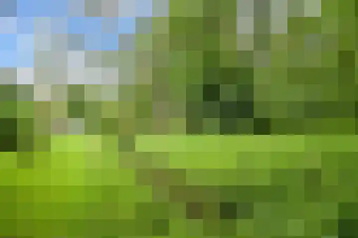 Van Ouwenlaan 18 Den Haag thumbnail 47