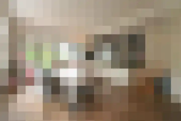 Van Ouwenlaan 18 Den Haag thumbnail 8