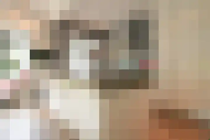 Van Ouwenlaan 18 Den Haag thumbnail 9