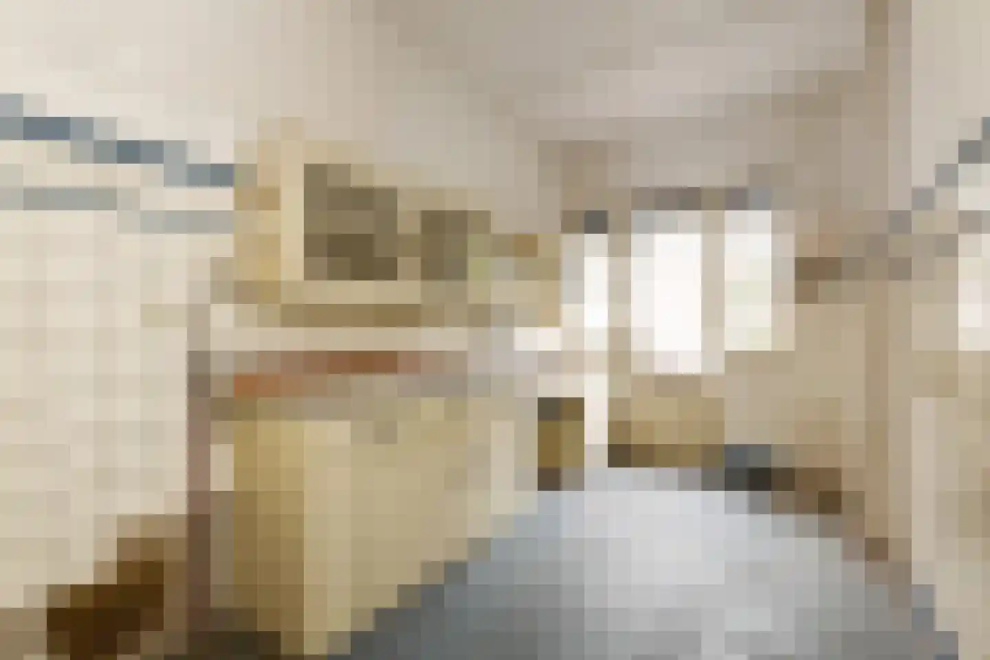 Van Ouwenlaan 32 Den Haag thumbnail 21
