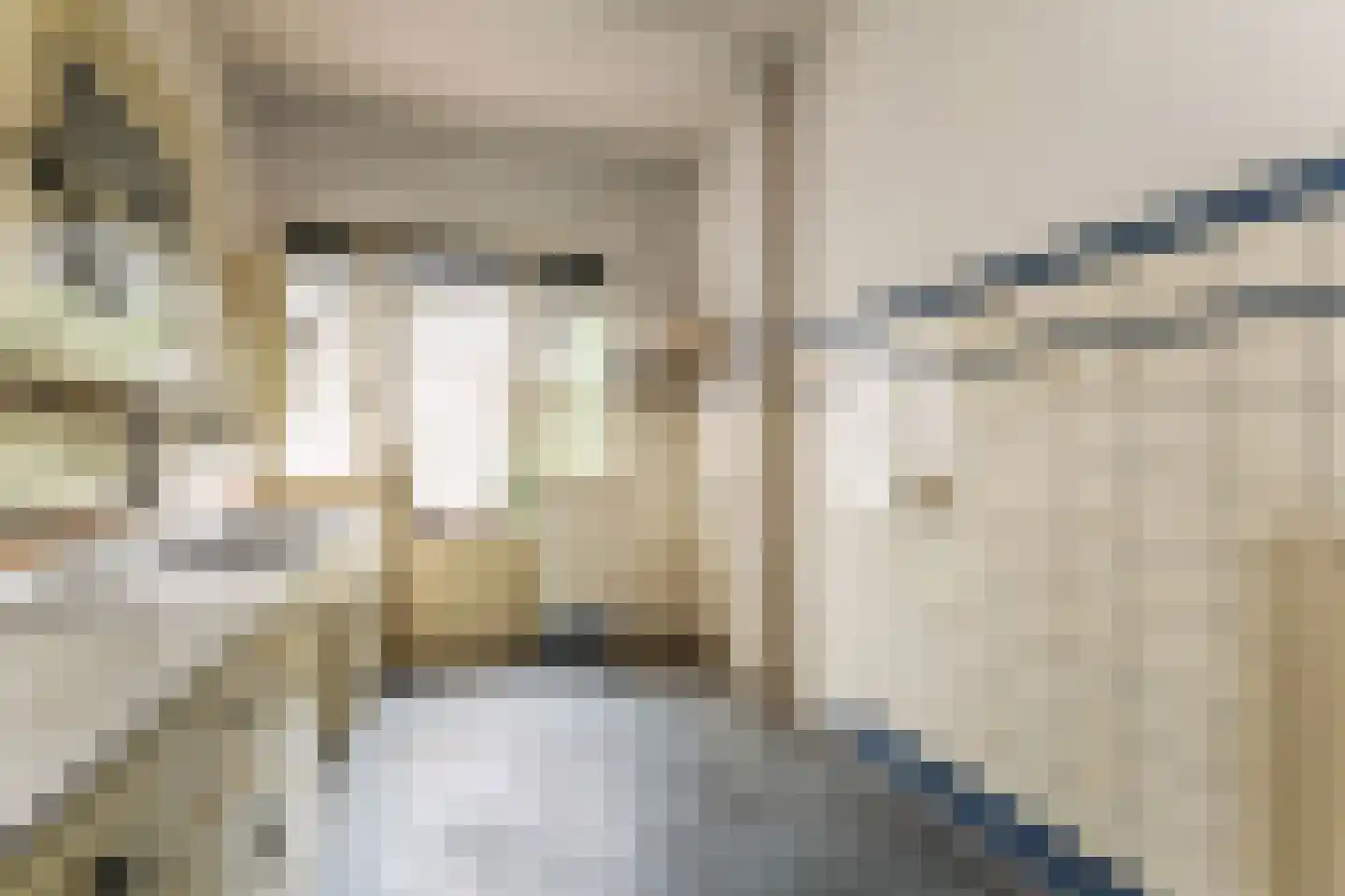 Van Ouwenlaan 32 Den Haag thumbnail 22