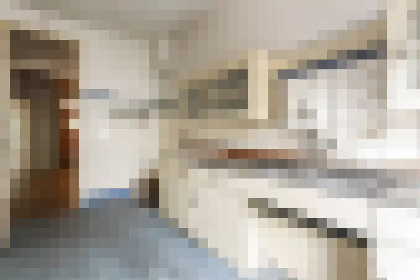 Van Ouwenlaan 32 Den Haag thumbnail 23