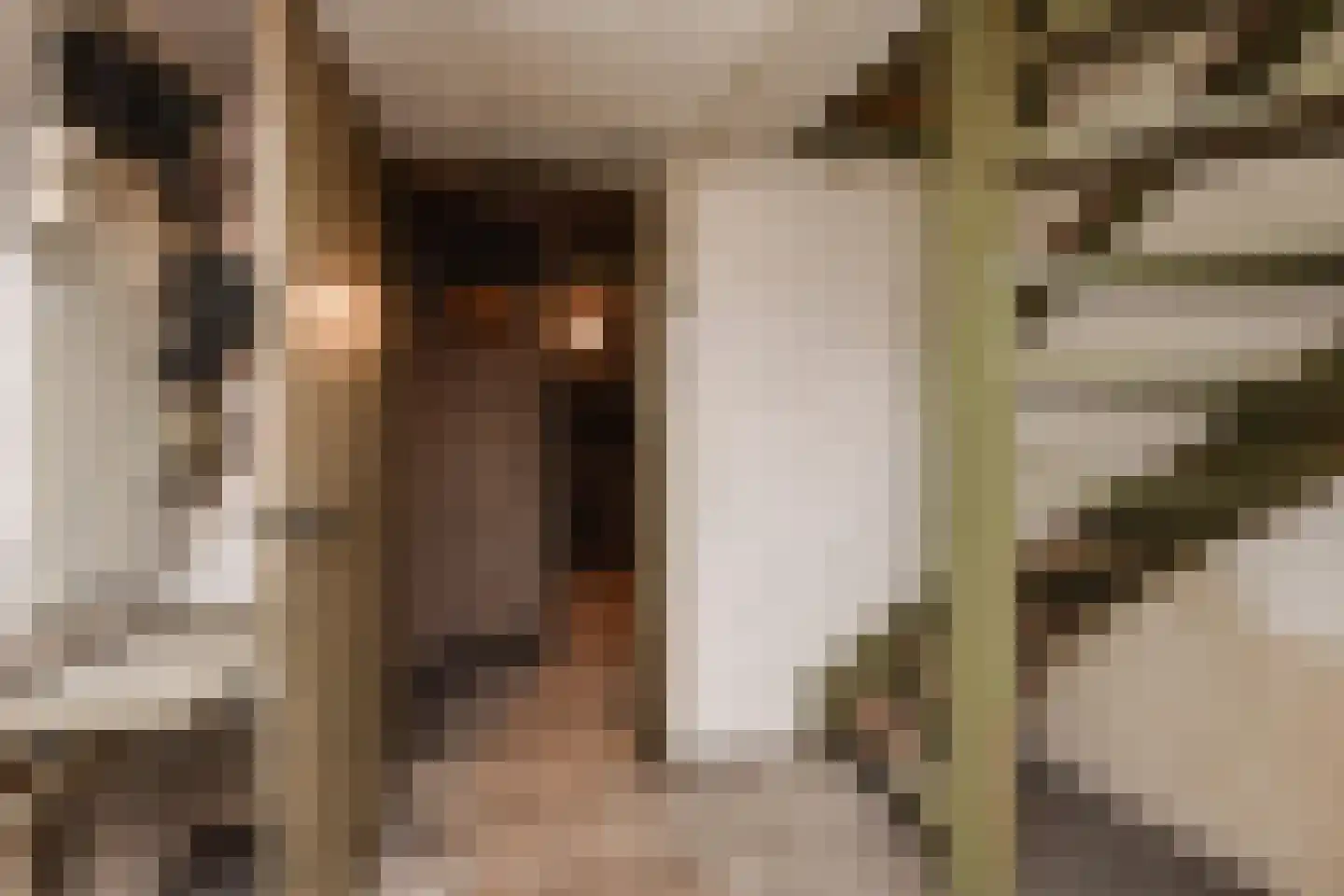 Van Ouwenlaan 32 Den Haag thumbnail 25