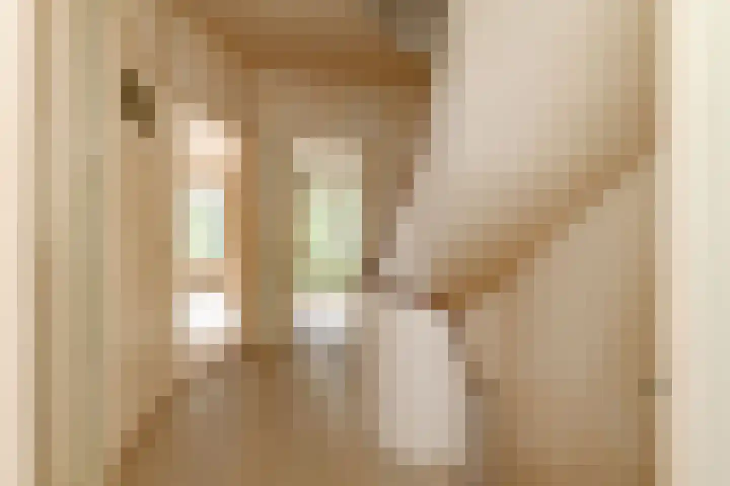 Van Ouwenlaan 32 Den Haag thumbnail 29