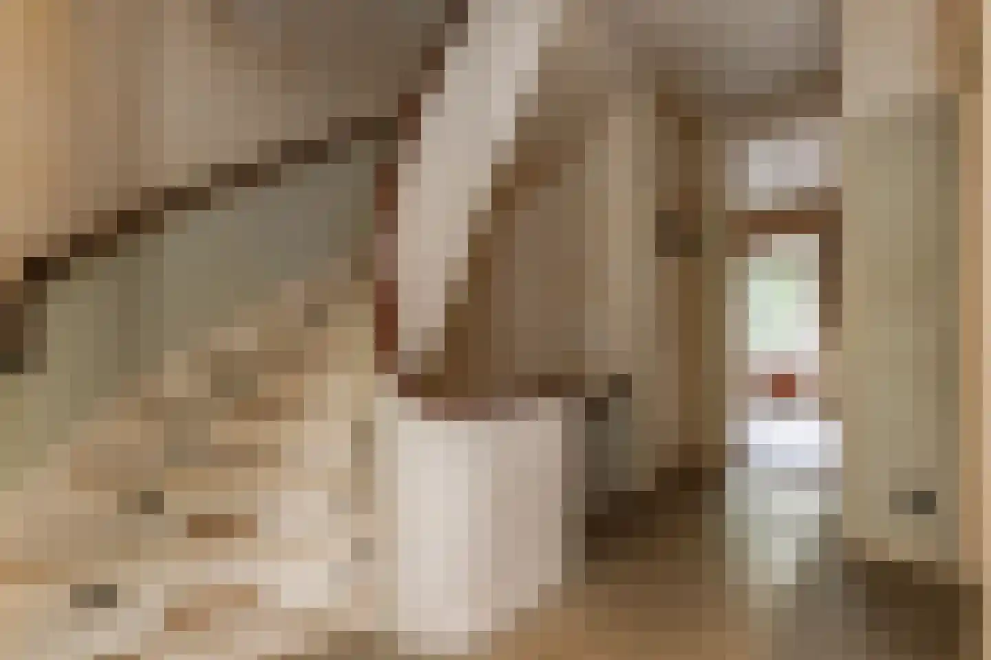 Van Ouwenlaan 32 Den Haag thumbnail 30