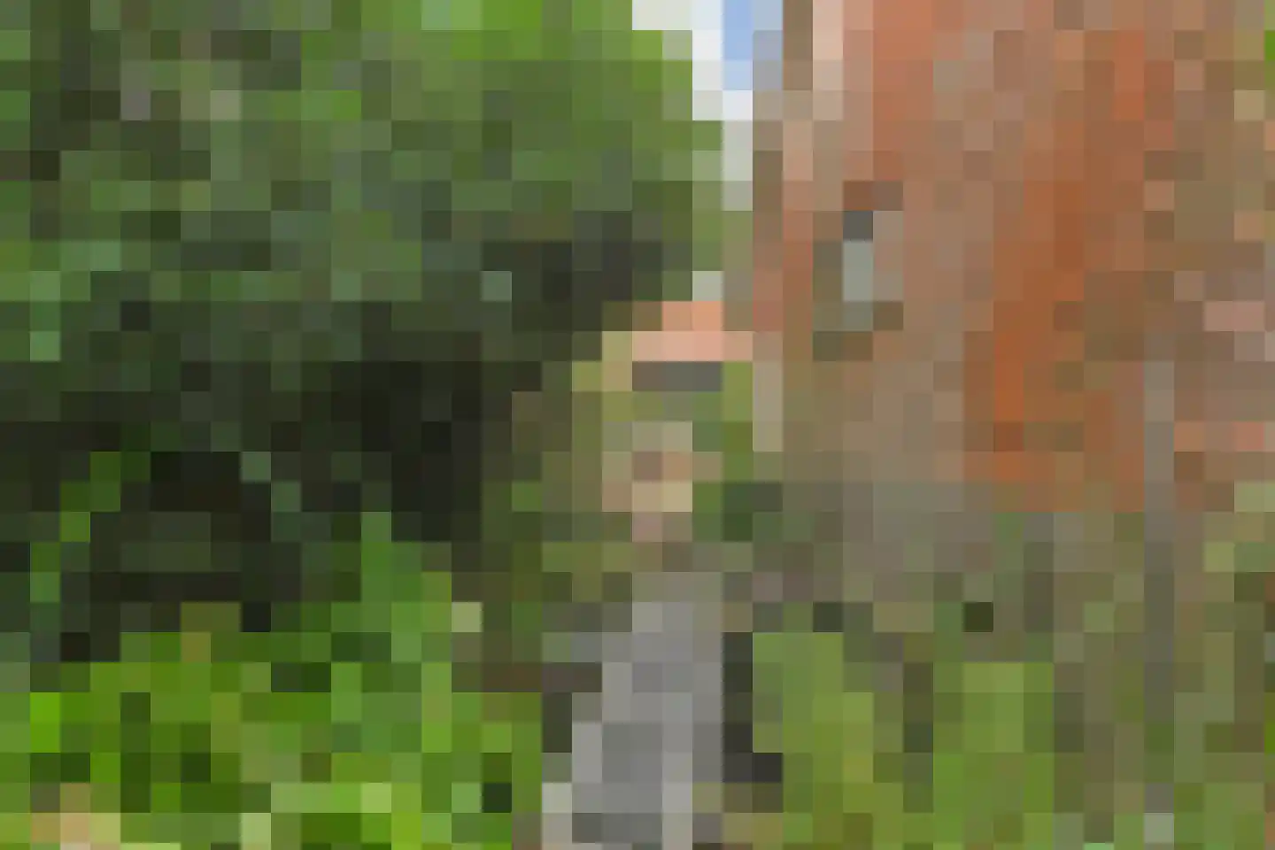 Van Ouwenlaan 32 Den Haag thumbnail 61
