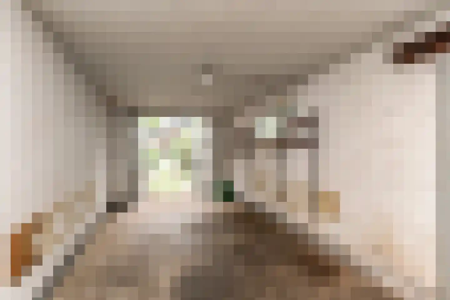 Van Ouwenlaan 32 Den Haag thumbnail 64