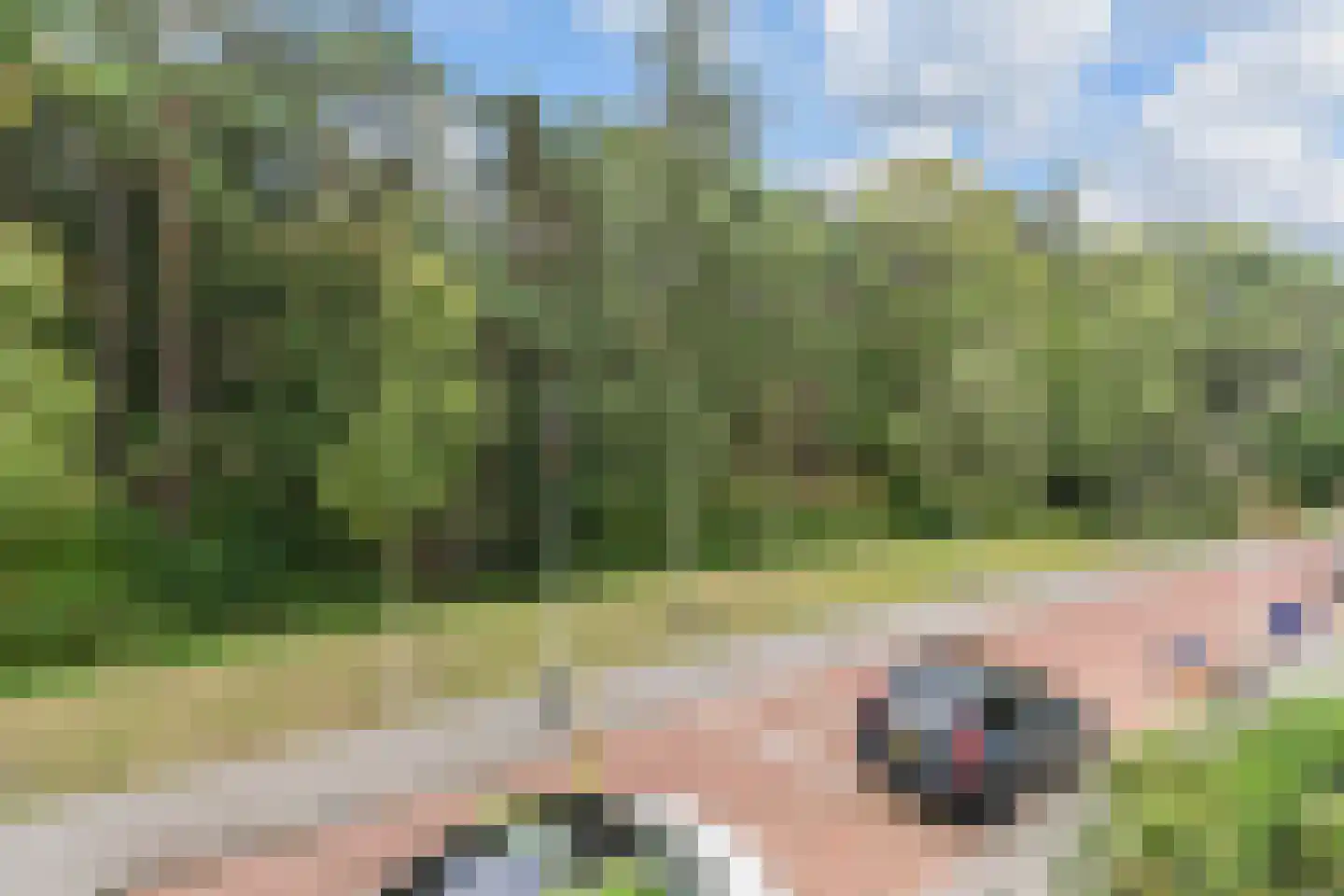 Van Ouwenlaan 32 Den Haag thumbnail 69