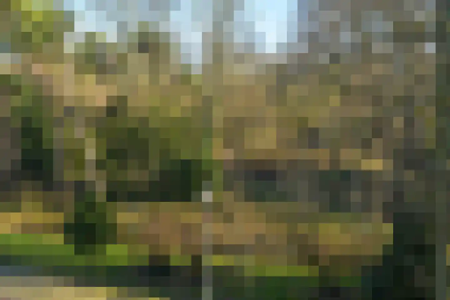 Van Ouwenlaan 4 Den Haag thumbnail 26
