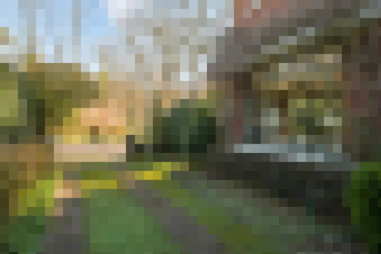 Van Ouwenlaan 4 Den Haag thumbnail 36