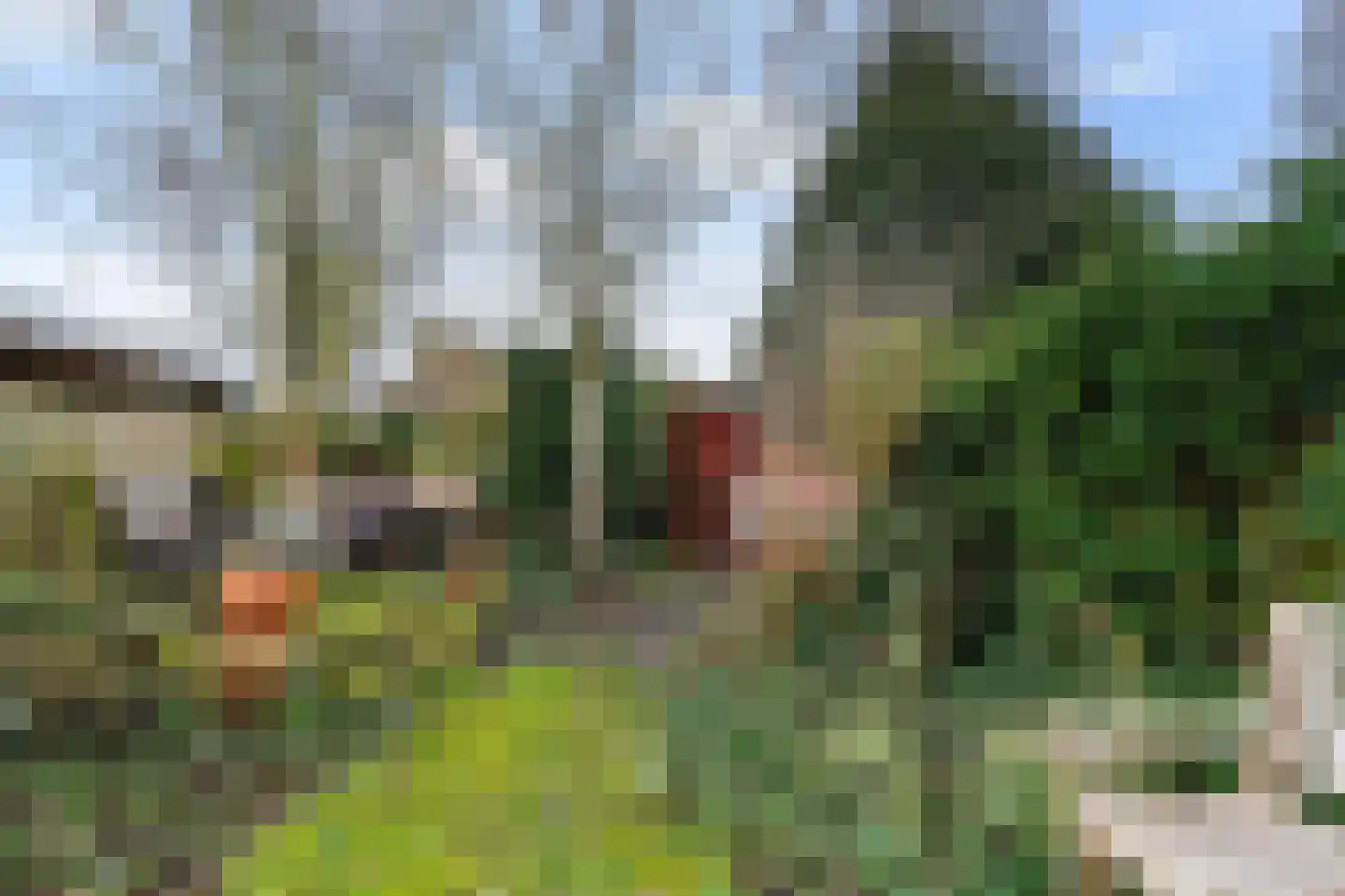 van Overbeekstraat 32 Sint-Michielsgestel thumbnail 37