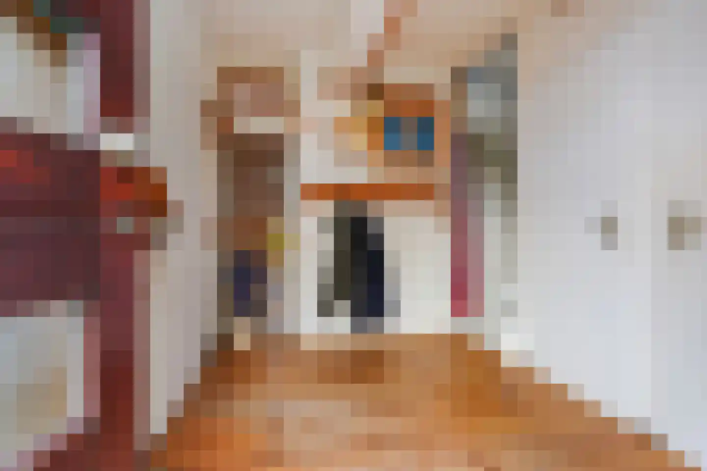 van Overbeekstraat 32 Sint-Michielsgestel thumbnail 7