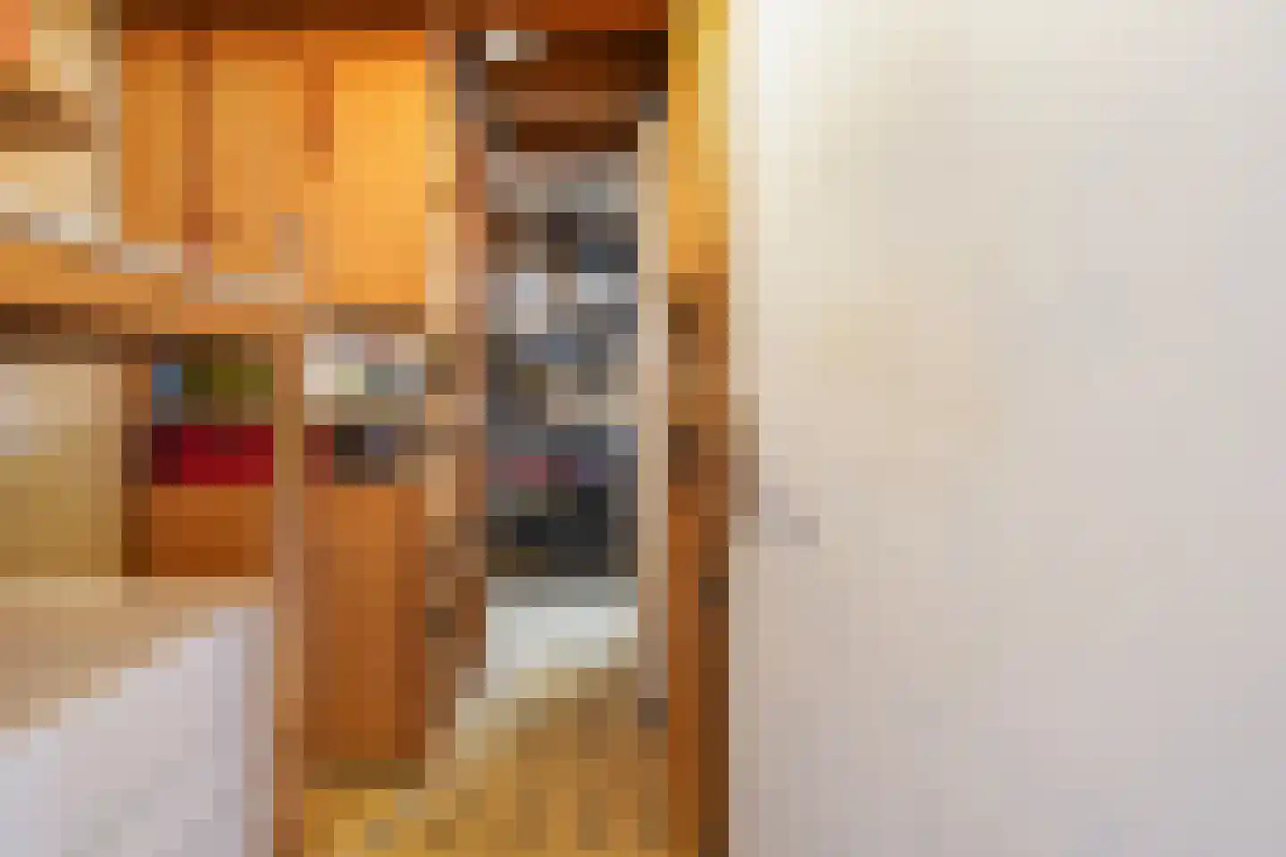 van Overbeekstraat 32 Sint-Michielsgestel thumbnail 8