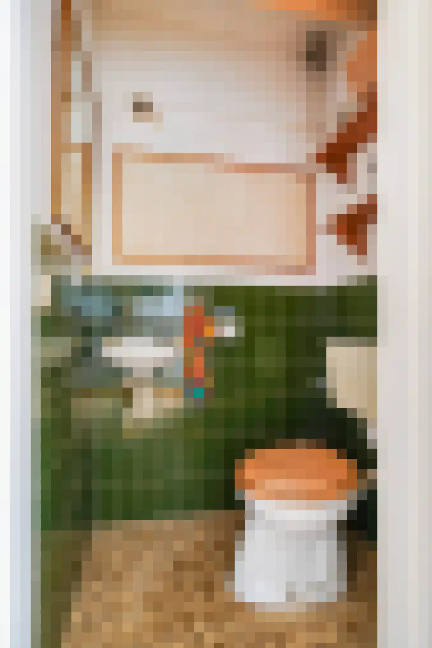 van Overbeekstraat 32 Sint-Michielsgestel thumbnail 9