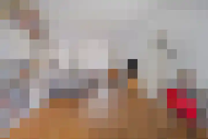 Van Overstratenlaan 5 Bergen op Zoom thumbnail 8