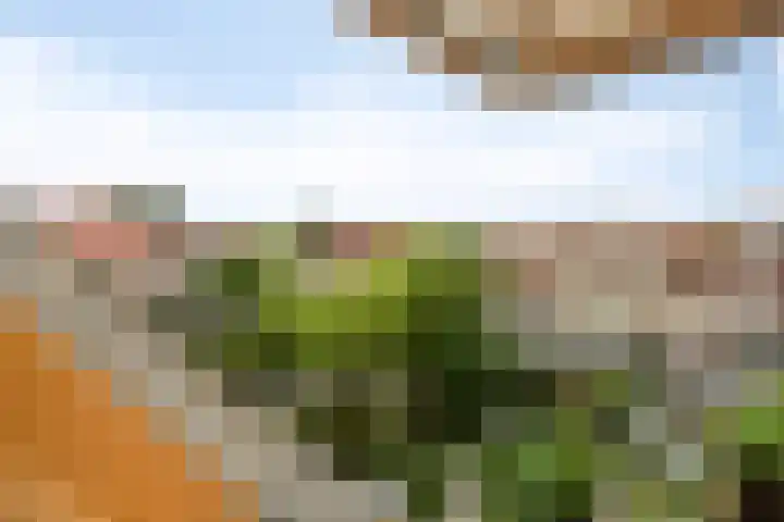 Van Overveststraat 6 Oud-Vossemeer thumbnail 26
