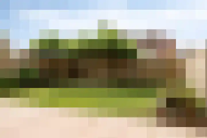 Van Overveststraat 6 Oud-Vossemeer thumbnail 30